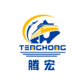 Teng Hong