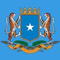 carrier icon